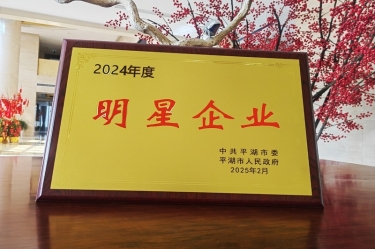 新春新景新气象 | 开元体育-（中国）开元体育在平湖三干大会上喜摘荣誉！
