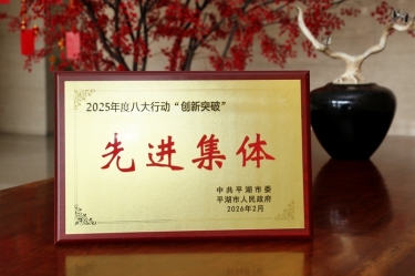 策马扬鞭启新程！开元体育-（中国）开元体育在平湖市三级干部大会上荣获“创新突破”双项荣誉